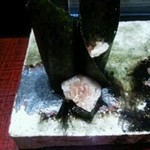 水暉 - かんぴょう巻き