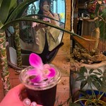 saturday's pono - 