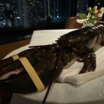 銀座カシータ - 活ロブスター調理前