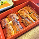 博多名代 吉塚うなぎ屋 - アップ