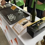 TRAIN SUITE 四季島 - 新潟県魚沼市小出駅　途中下車