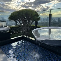 PIGNETO - 