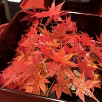 本湖月 -  本湖月 -