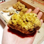 マルゴット エ バッチャーレ - 