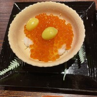 弧玖 - 