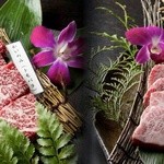青とうがらし - カイノミ(左)　1500円　特上カルビ(右)　2200円