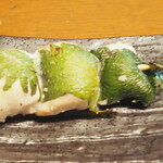 鳥扇 - 笹身しそ