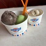 ブルーシール 牧港本店 - 