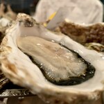 オイスターバー COVO - 真牡蠣四種類食べ比べ(秀峰・釜石・恵比須・山田)