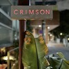 クリムゾン エビス