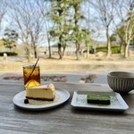 CCCSCD - 