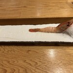 272582042 - ボタンエビ