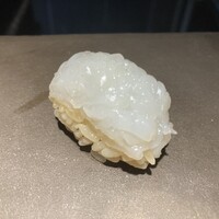 鮨 惣五郎 - あおりいか