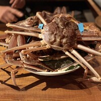 マキノンチ - 