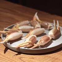 マキノンチ - 