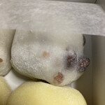 호우잔지 차도코로