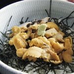 波光食堂 - 生ウニ丼