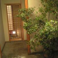 照月 - 玄関を入ると大きな植木鉢に・・・