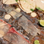 鯛良 - イサキ、コチ　自家製昆布醤油