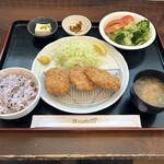 ホウシュン - ひれかつ定食＋ミニサラダ