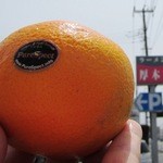 食後のデザートで貰った「オレンジ」