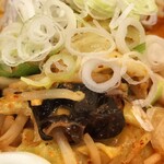 蒙古タンメン中本 - 野菜アップ