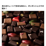 カカオティエゴカン - 