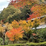 美山荘 - 美山の紅葉