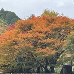 美山荘 - 美山の紅葉