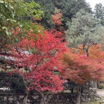 美山荘 - 美山の紅葉