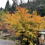 美山荘 - 美山の紅葉