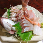 池田屋旅館 - マダイ姿造り、カンパチ、アオリイカ、甘エビ、グレ、ウマズラハギ