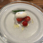 マルゲリータ - 