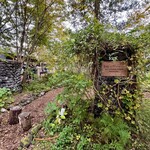 SHOZO COFFEE KARUIZAWA - 