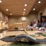 江戸町 すぎもと - 