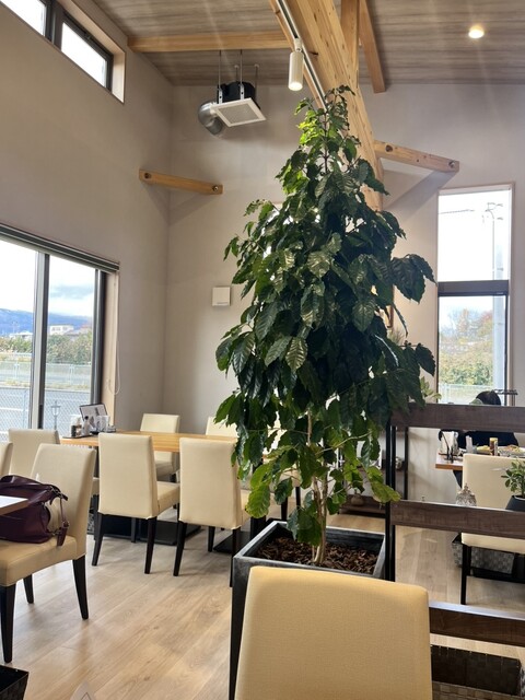 森と緑 - 二本松（カフェ）の写真