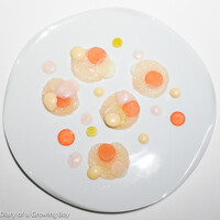 レフェルヴェソンス - Étoile polaire~ noix de St. Jacques au sashimi, vinaigrette de citron vert et échalote, miso blanc, radis daikons