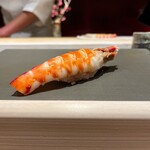 千葉たかおか - 車海老　プリっプリ