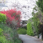 村上製パン所 - 