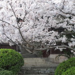 村上製パン所 - 