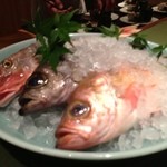 泉岳寺門前 紋屋 - 