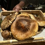 馳走 啐啄一十  - 