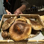 馳走 啐啄一十  - 