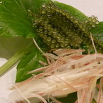 鮨 おさむ - 海ブドウ、みょうが