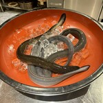 参宮橋 あさや - 