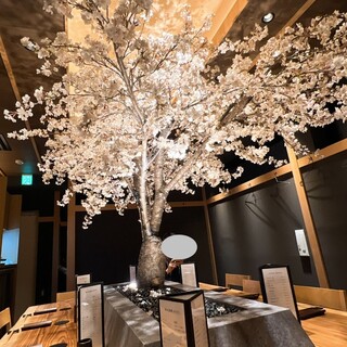 とりとんたん Premium_2