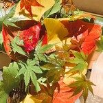 銀座 しのはら - 様々な色あいの紅葉