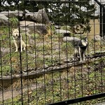 プレミアホテル CABIN - 