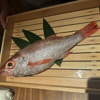 のどぐろ専門 銀座中俣 極 - 