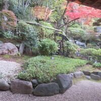 東京 芝 とうふ屋うかい - 窓外の景色